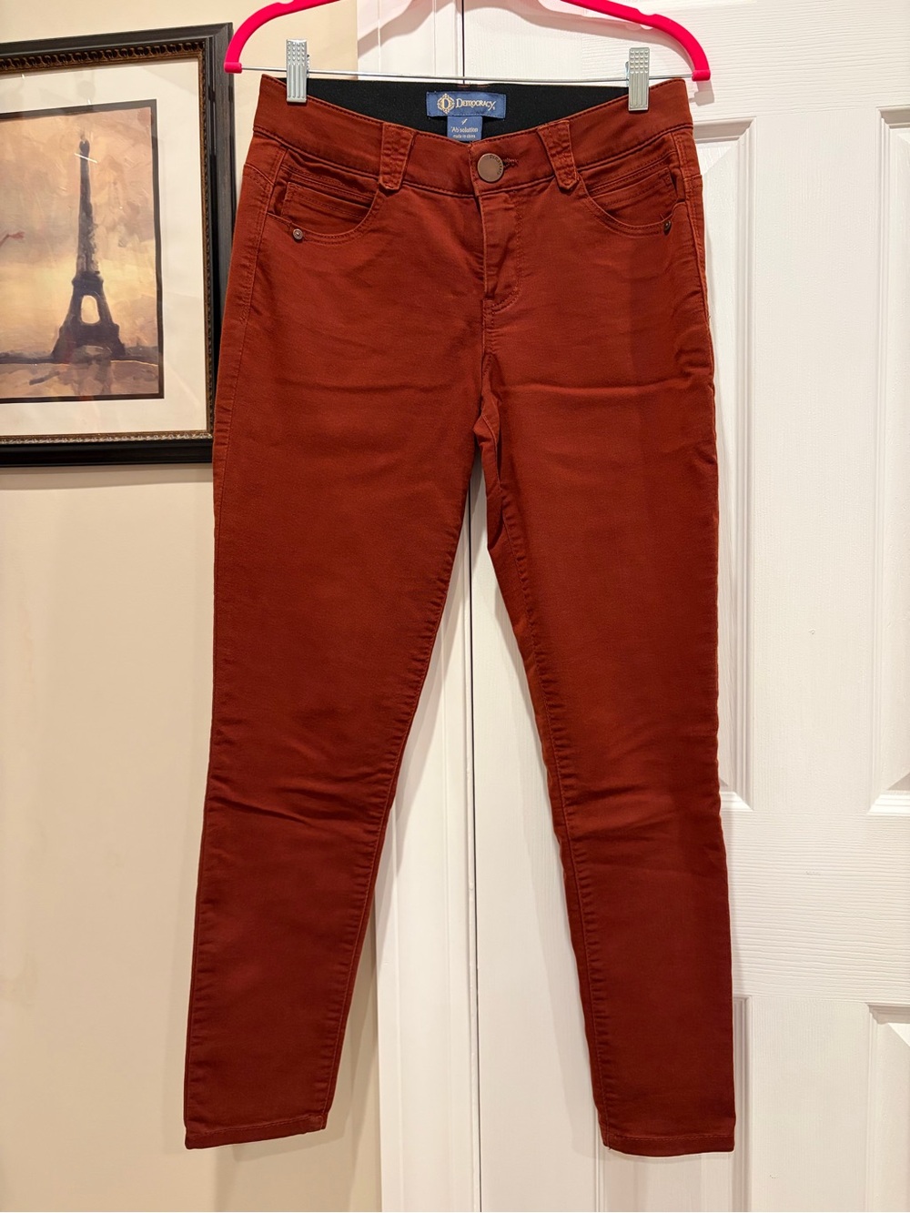 Democracy “Ab” Solution Burnt Orange Skinny Jeans 🧡